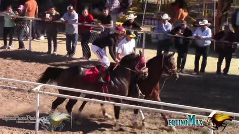 carreras de caballos araña vs rolex|CARRIL VALLE DE JUÁREZ REGRESAN LAS GRANDES .